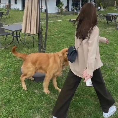 上帝之子